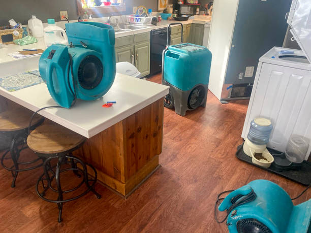 Best Flooded house restoration  in Carl Junction, MO
