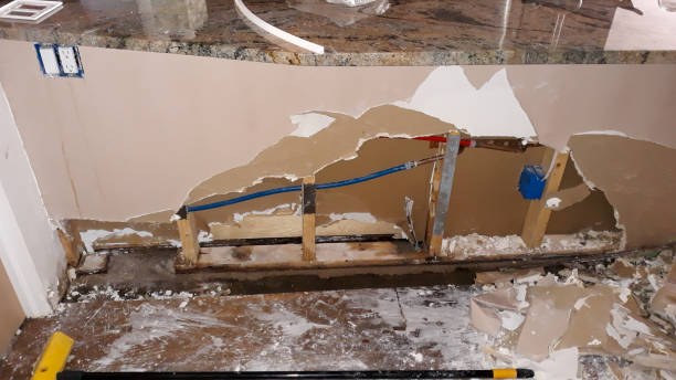 Best Flood restoration services  in Carl Junction, MO