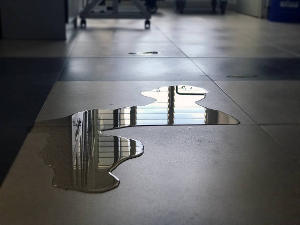 Best 24-hour water damage restoration  in Carl Junction, MO