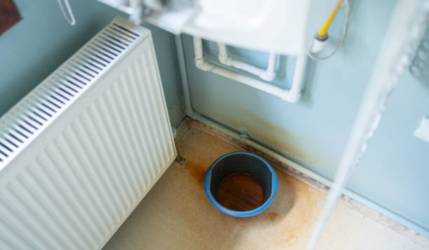 Best Basement water damage restoration  in Carl Junction, MO
