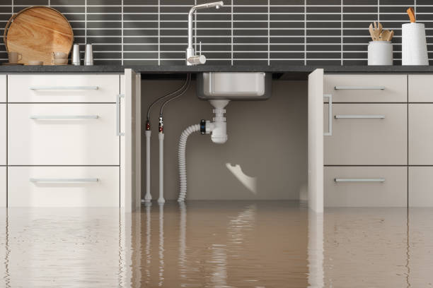 Best 24/7 water damage repair  in Carl Junction, MO