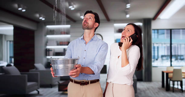 Best Commercial water damage restoration  in Carl Junction, MO