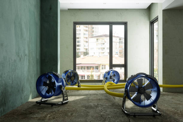 Best Carpet water damage restoration  in Carl Junction, MO